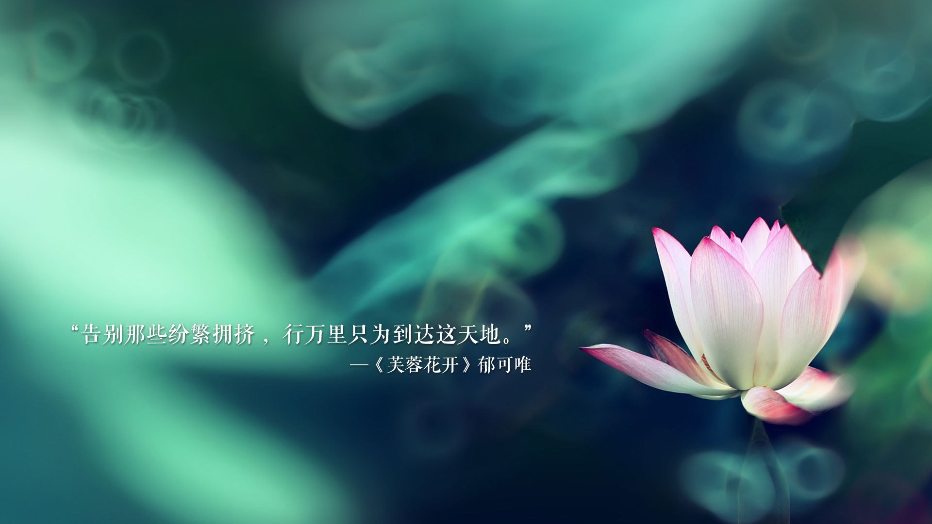 KAIYUN 中国大陆-利物浦士气高昂，备战下一场关键对决，利物浦争4