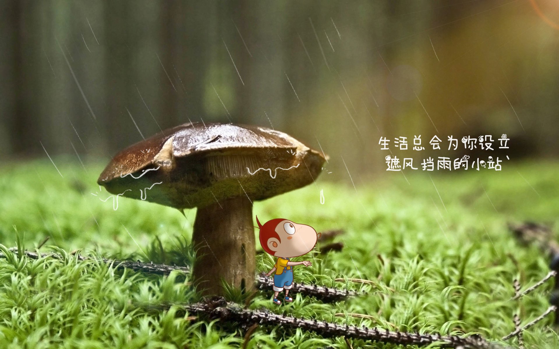 巴沙拉尼领军博洛尼亚，主场力克乌迪内斯，巴尼亚和博拉奇