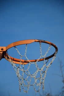 开云入口-NBA球队球员培养规划设计，nba对球员的要求是什么