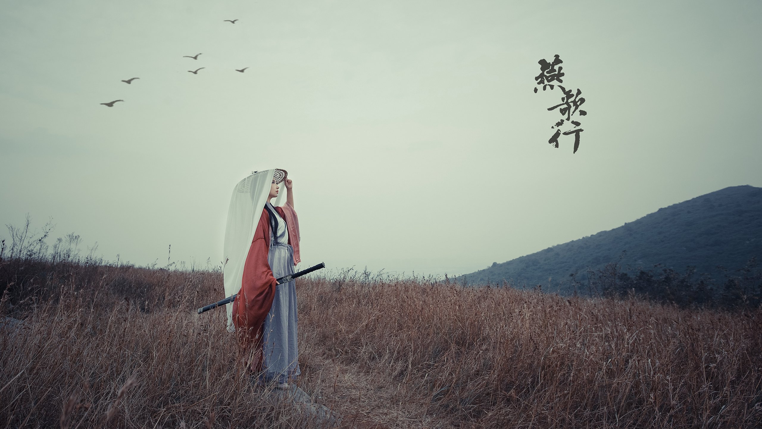 开云·体育官网APP下载-中国篮球职业裁判员执裁能力提升路径，中国篮球裁判证怎么考