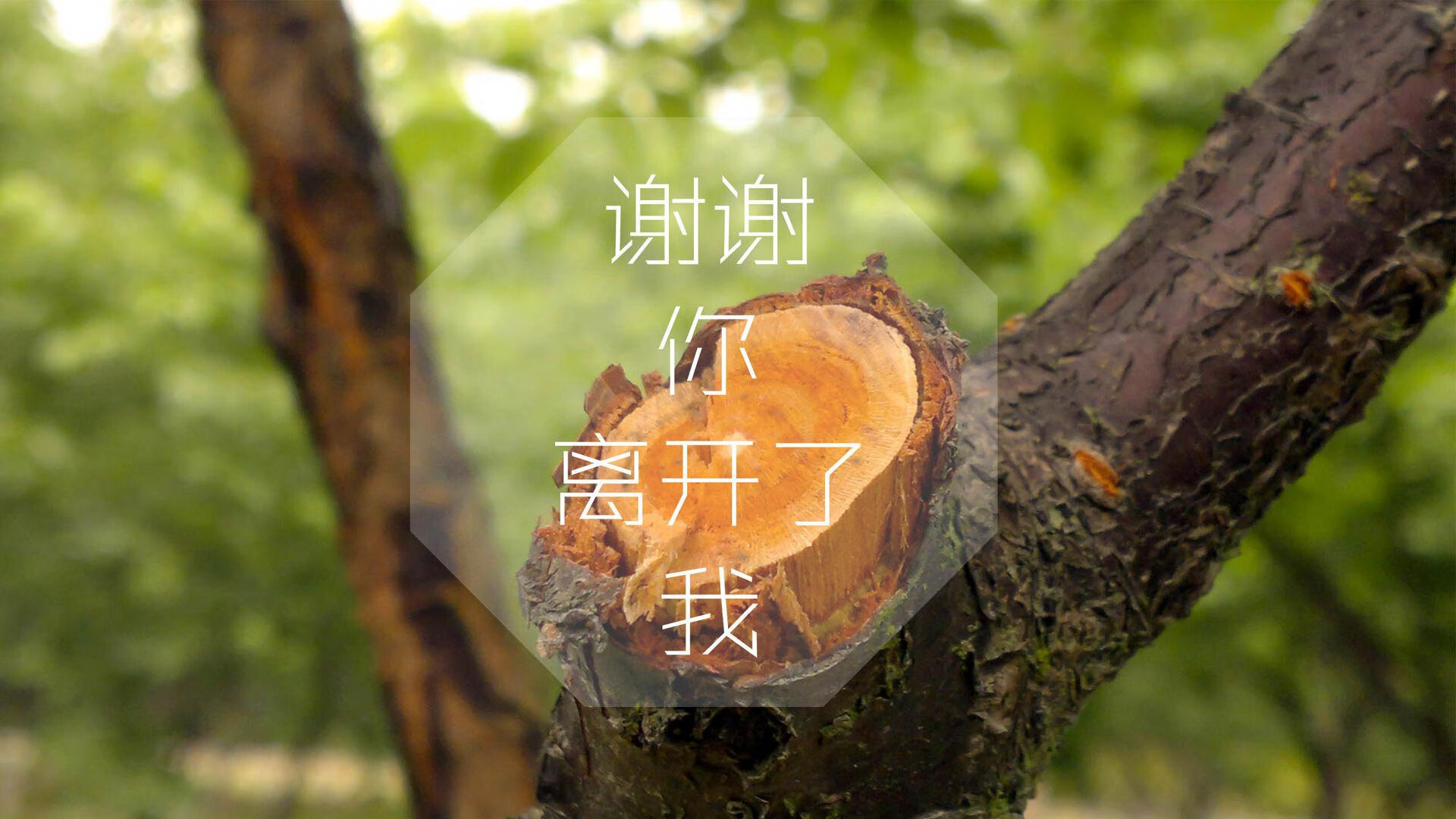 Kaiyun APP-CBA球队加强心理辅导工作