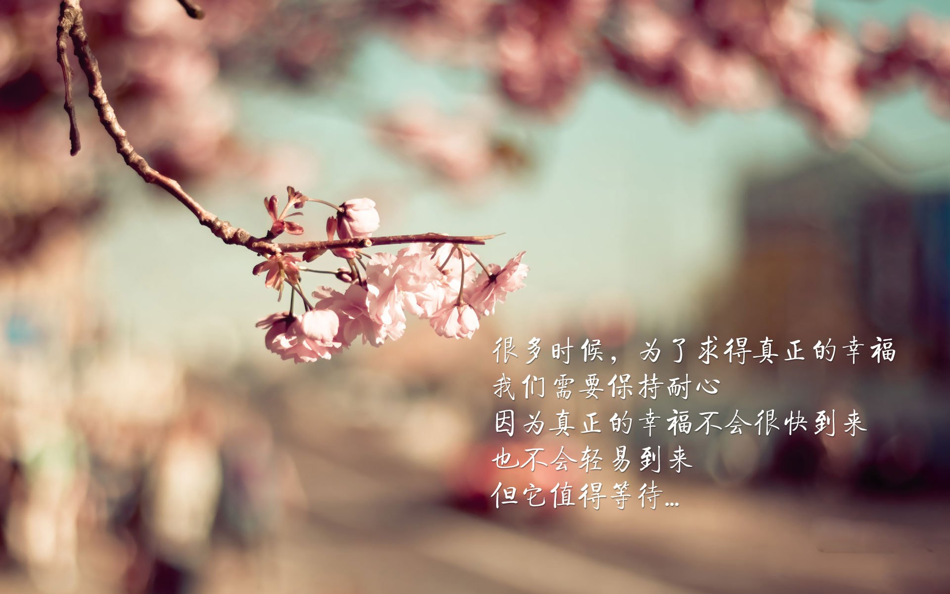 kaiyun官方网站-世界杯预选赛中国队战胜 球迷热情高涨，世界杯预选赛中国队怎么样了