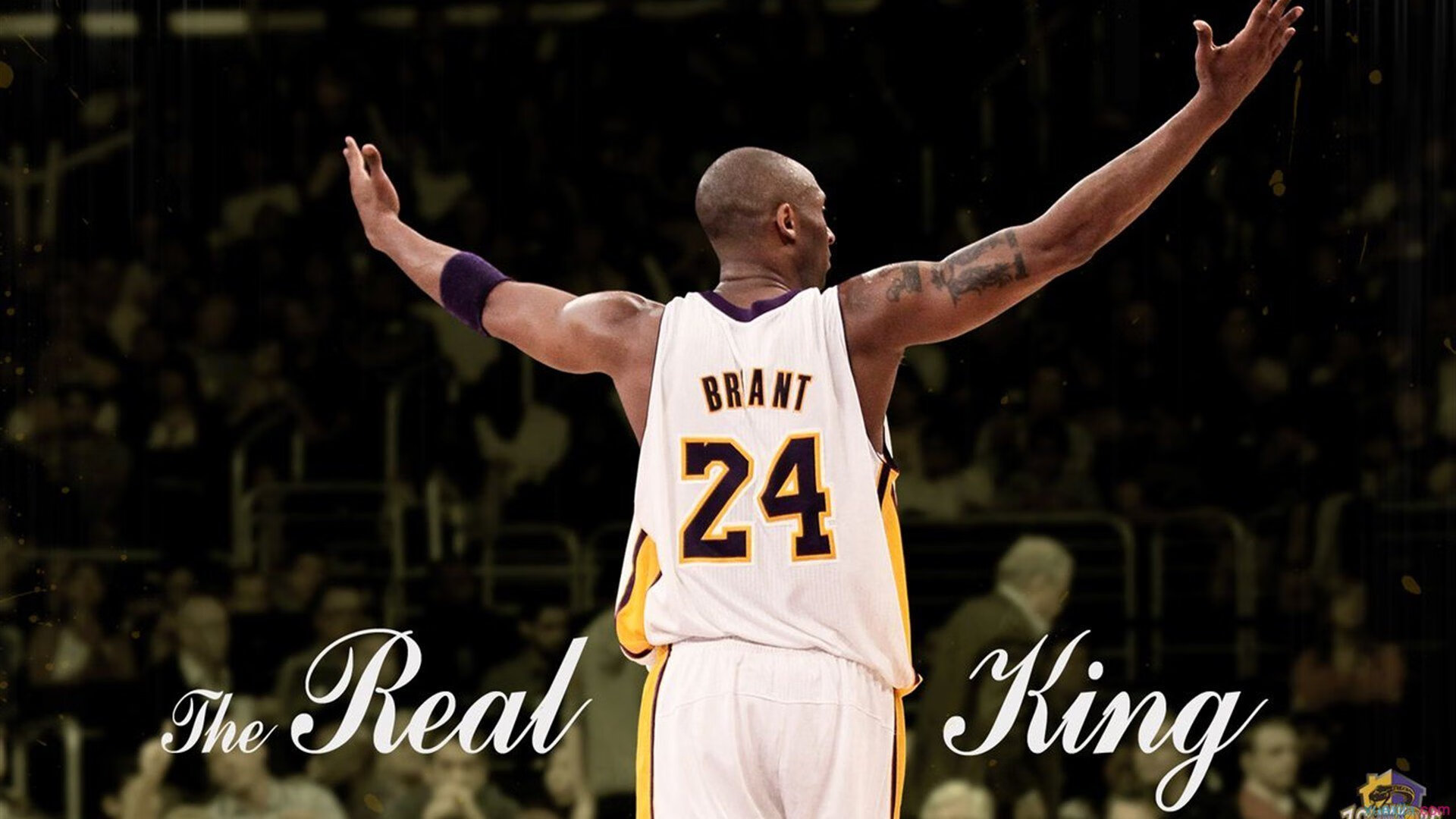 台球选手的成长故事：从业余到职业的蜕变，台球的职业生涯多长